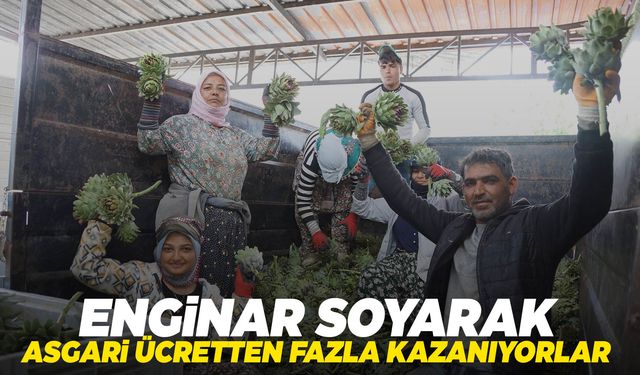 Enginar soyarak asgari ücretin 4 katını kazanıyorlar