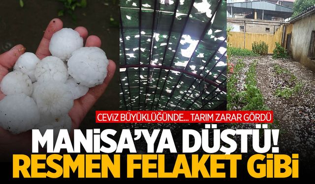 Felaket gibi... Manisa’ya ceviz büyüklüğünde dolu yağdı