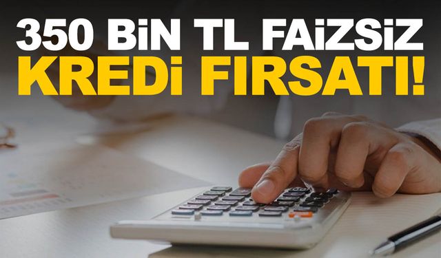 Girişimcilere büyük destek! 350 bin TL faizsiz kredi fırsatı