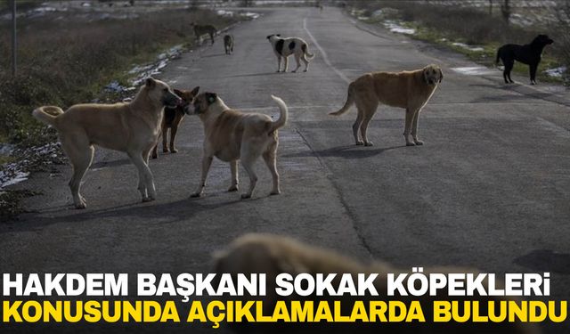 HAKDEM Başkanı “Uyutmak demek onları ölüme terk etmek demektir”