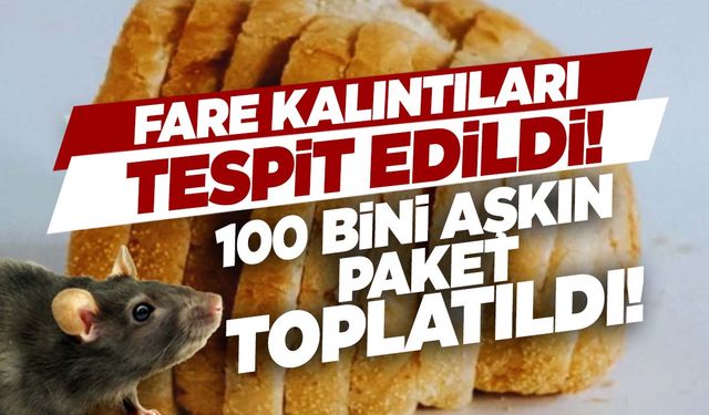 Bir ülke şokta! Fare kalıntıları saptandı… 100 bini aşkın paketli ekmek toplatıldı!