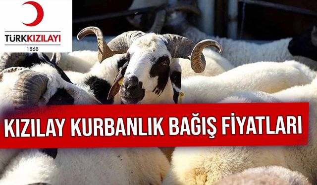 Kızılay Kurbanlık Bağış Fiyatları 2024: Yurt İçi ve Yurt Dışı Vekalet Ücretleri Ne Kadar? Nasıl Yapılır?