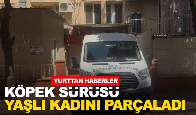 Köpek sürüsü yaşlı kadını parçaladı