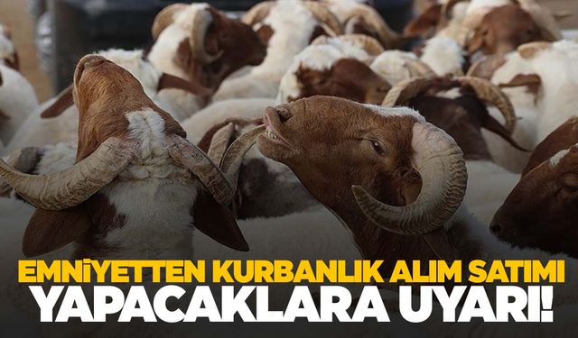 Kurban alım satımı yapacaklar dikkat! EGM’den uyarı geldi!