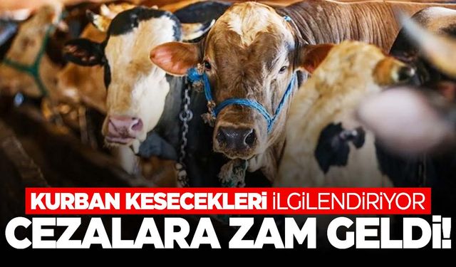 Bayramda bunları yaparsanız yandınız! Cezası büyük!