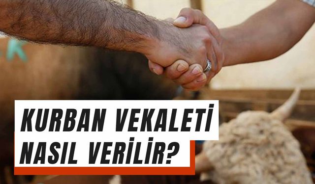 Kurban Vekaleti Nasıl Verilir? Diyanete Göre Ne Denir? Şartları Nelerdir?