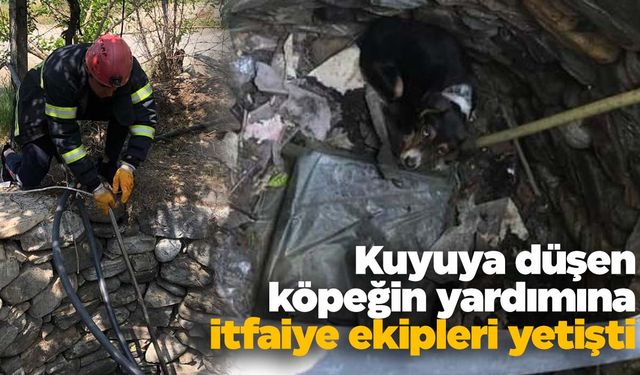 Kuyuya düşen köpeği itfaiye kurtardı