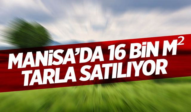 Manisa’da 16 bin m² tarla satılıyor