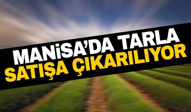 Manisa’da 9.900 m2 tarla satılıyor!