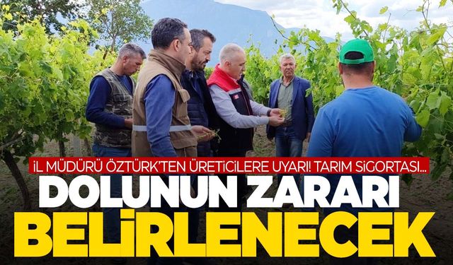 Manisa’da dolu yağışı tarımı vurdu! Müdür Öztürk’ten üreticilere uyarı geldi! Tarım sigortası…