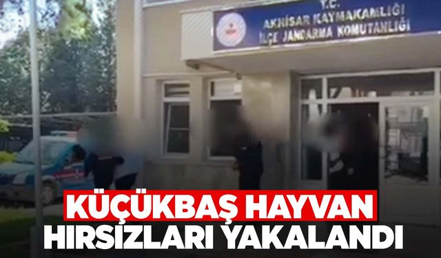 Manisa’da küçükbaş hayvanları çaldılar!