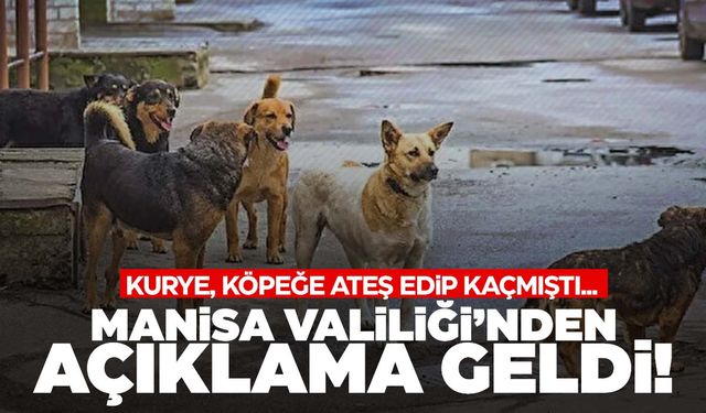 Manisa’da kurye silahla köpeğe ateş etmişti… Manisa Valiliği’nden açıklama geldi!