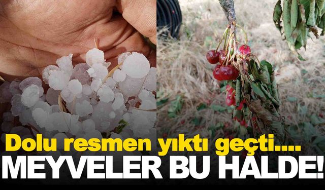 Manisa’da meyve bahçeleri bu halde… Durum vahim!