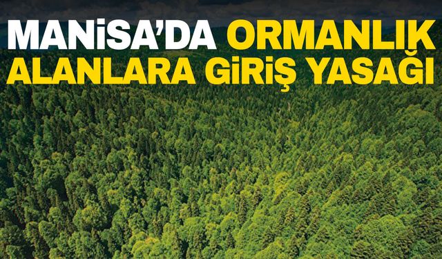 Manisa’da ormanlık alanlara giriş yasağı!