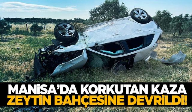 Manisa’da otomobil zeytin bahçesine devrildi: 5 yaralı