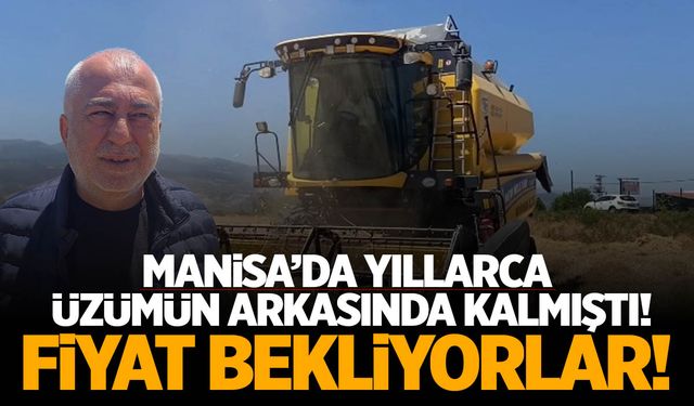 Manisa'da yıllarca üzümün arkasında kalmıştı! Manisalı üretici fiyat bekliyor...