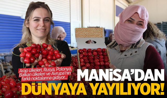 Manisa'dan dünyanın dört bir yanına gidiyor! Arabistan'dan Polonya'ya...