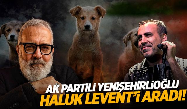 Manisalı vekil, Haluk Levent’i aradı! Sokak köpekleri ne olacak?