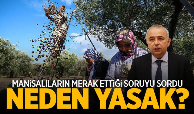 Manisa'nın payı büyük... Ama yasak var! CHP'li vekil gündeme getirdi