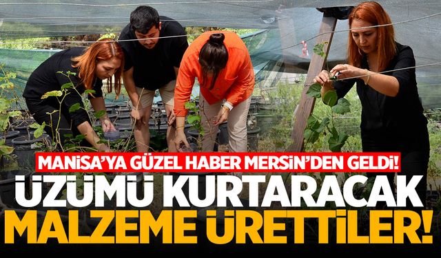 Manisa'ya güzel haber! Üzümü kurtaracak malzeme ürettiler