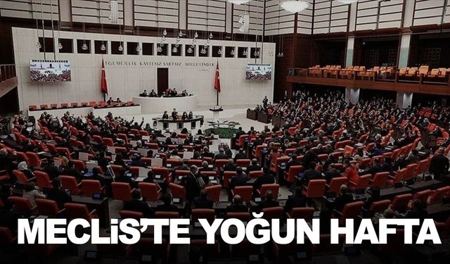 Meclis’te bu hafta yoğun geçecek