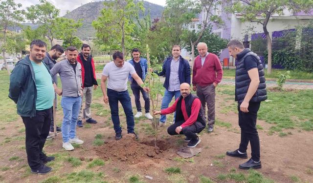 Soma'da yaşayan Ordulular fidan dikti