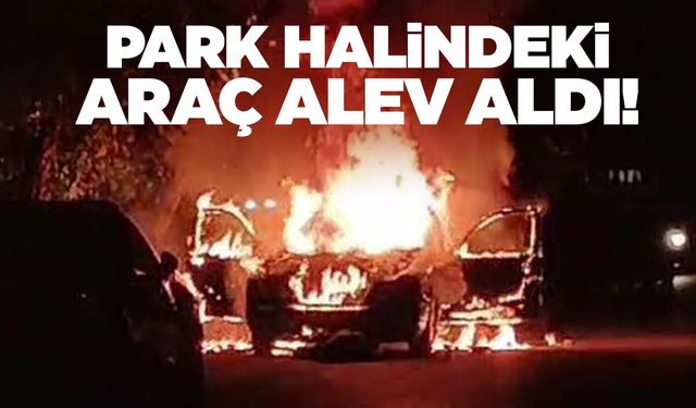 Ege'de park halindeki araç alev topuna döndü