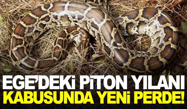 Ege’de piton kabusunda yeni perde!