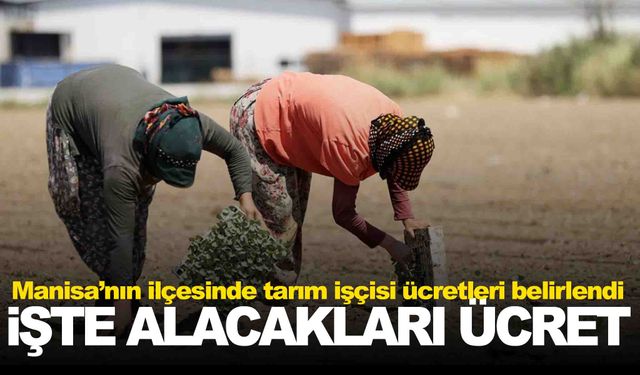 Salihli’de 2024 yılı tarım işçisi ücretleri