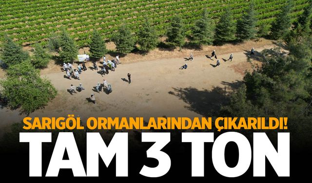 Sarıgöl ormanlarından çıkarılıp traktörlere yüklendi! Tam 3 ton