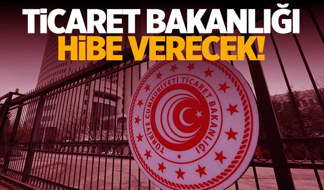 Ticaret Bakanlığı 20 milyon TL hibe verecek!