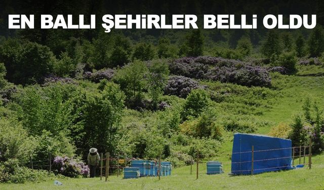 Türkiye’nin en ballı şehirleri belli oldu!