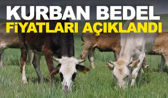 2024 Yılı kurban bedel fiyatları açıklandı