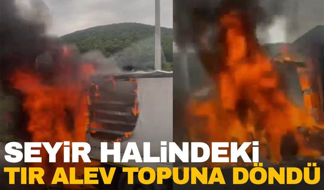 Yalova’da seyir halindeki tır alev topuna döndü