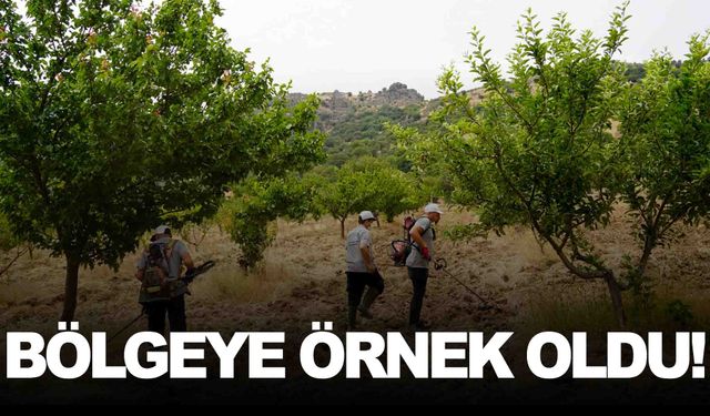 Yunusemre’nin organik meyve bahçesi bölgeye örnek oldu