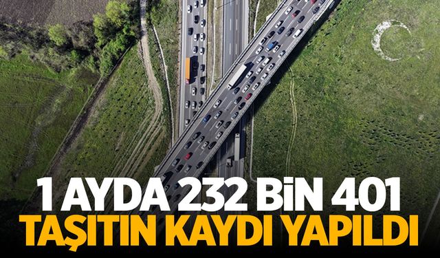 1 ayda 232 taşıt kaydedildi