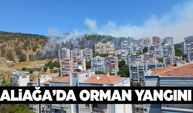 Aliağa’da orman yangını! Ekipler müdahale ediyor!