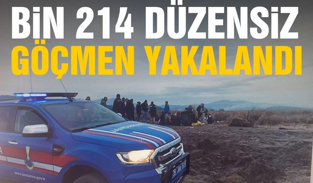 Mayıs ayında bin 214 düzensiz göçmen yakalandı