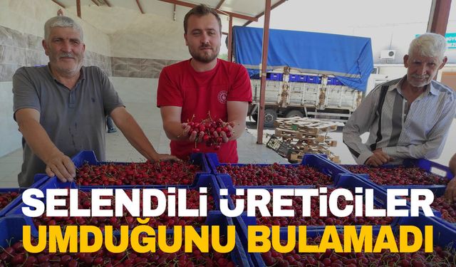 Bahçede fiyatı 50 TL’ye düştü ama üretici umduğunu bulamadı