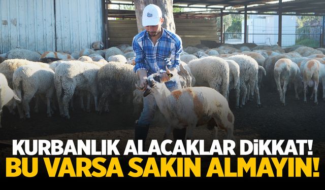 Kurbanlık alacaklar dikkat! Bu varsa sakın almayın!