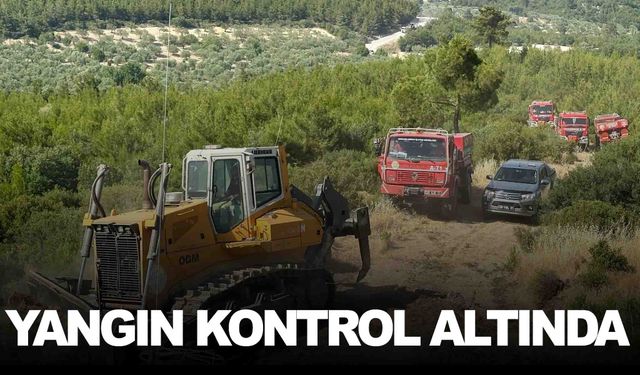 Bergama yangını kontrol altında