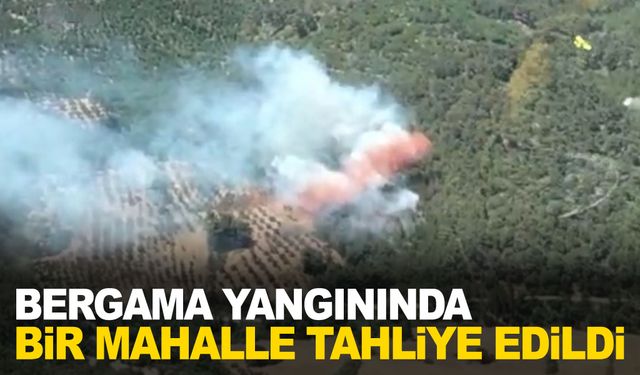 Bergama’daki orman yangınında bir mahalle tahliye edildi