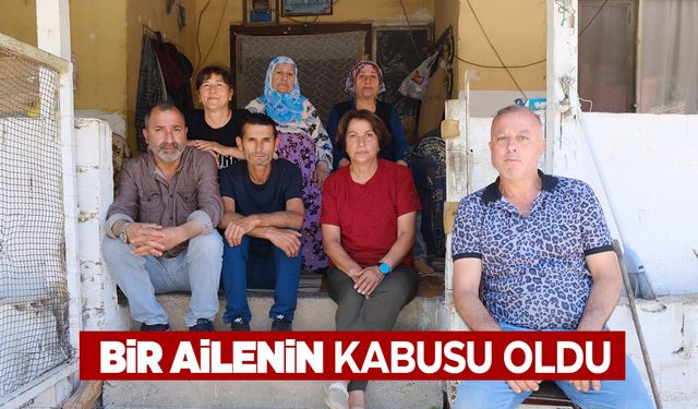 Evlerinin altında yaşıyor! Korkudan nöbet tutuyorlar!