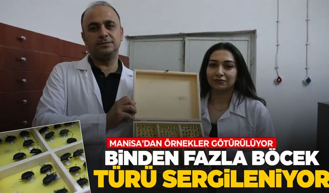 Bir ilginç müze… Manisa’dan Tokat’a böcek getiriliyor!