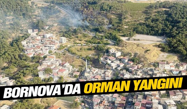 Bornova yanıyor! Havadan ve karadan müdahale ediliyor!