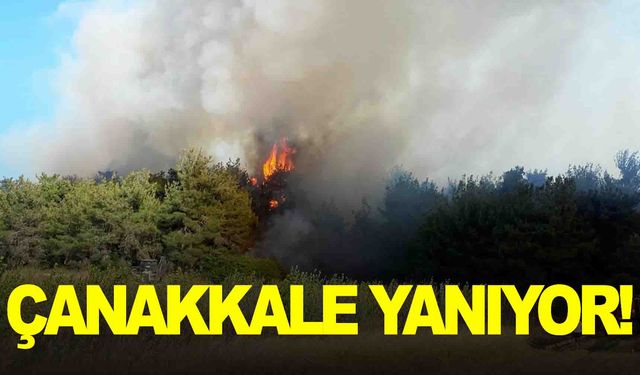 Çanakkale’de büyük yangın… Köyler boşaltılıyor!