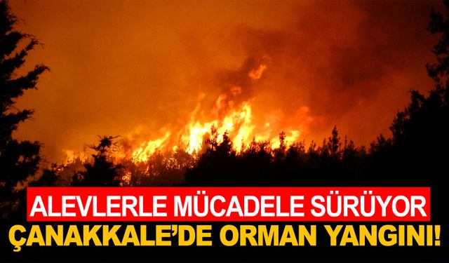 Çanakkale’de orman yangını sürüyor: Boğazda gemi trafiği durduruldu