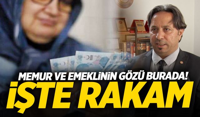 Dananın kuyruğu kopuyor! Memur ve memur emeklisi ne kadar zam alacak? Maaş eşitlemesi...