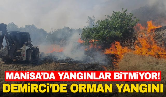 Demirci’de orman yangını! Tarım arazisinde başladı ormana sıçradı…