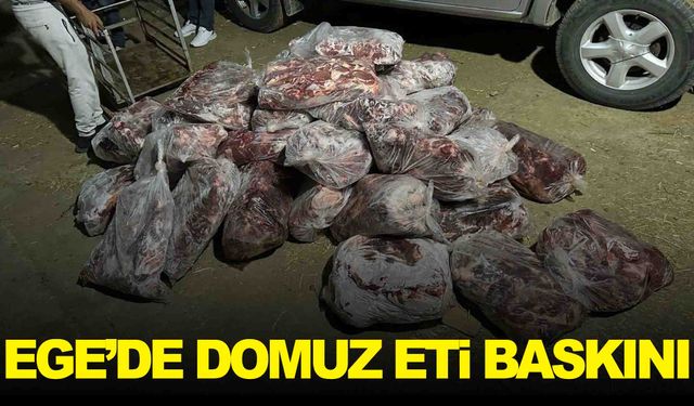 Ege’de 1 ton domuz eti ele geçirildi!